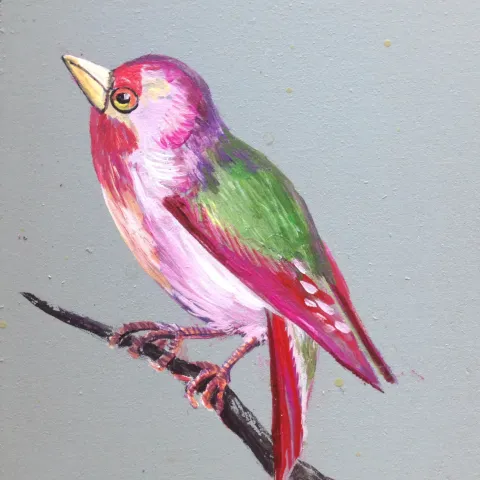 Pink-Fink