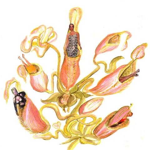 Frauenfalle