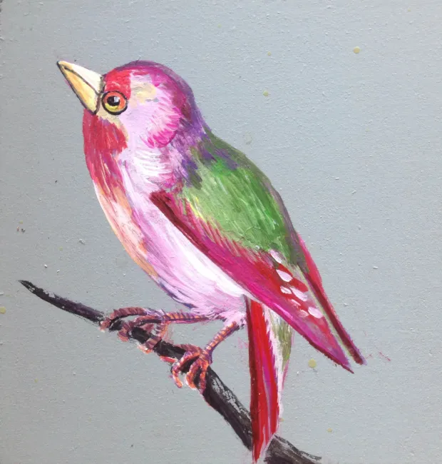 Pink-Fink